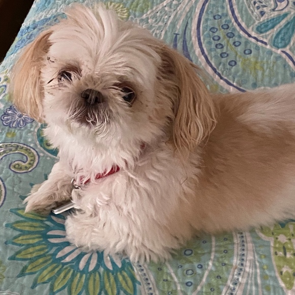 Meet your Posher, Janet - Picture 1 of 1